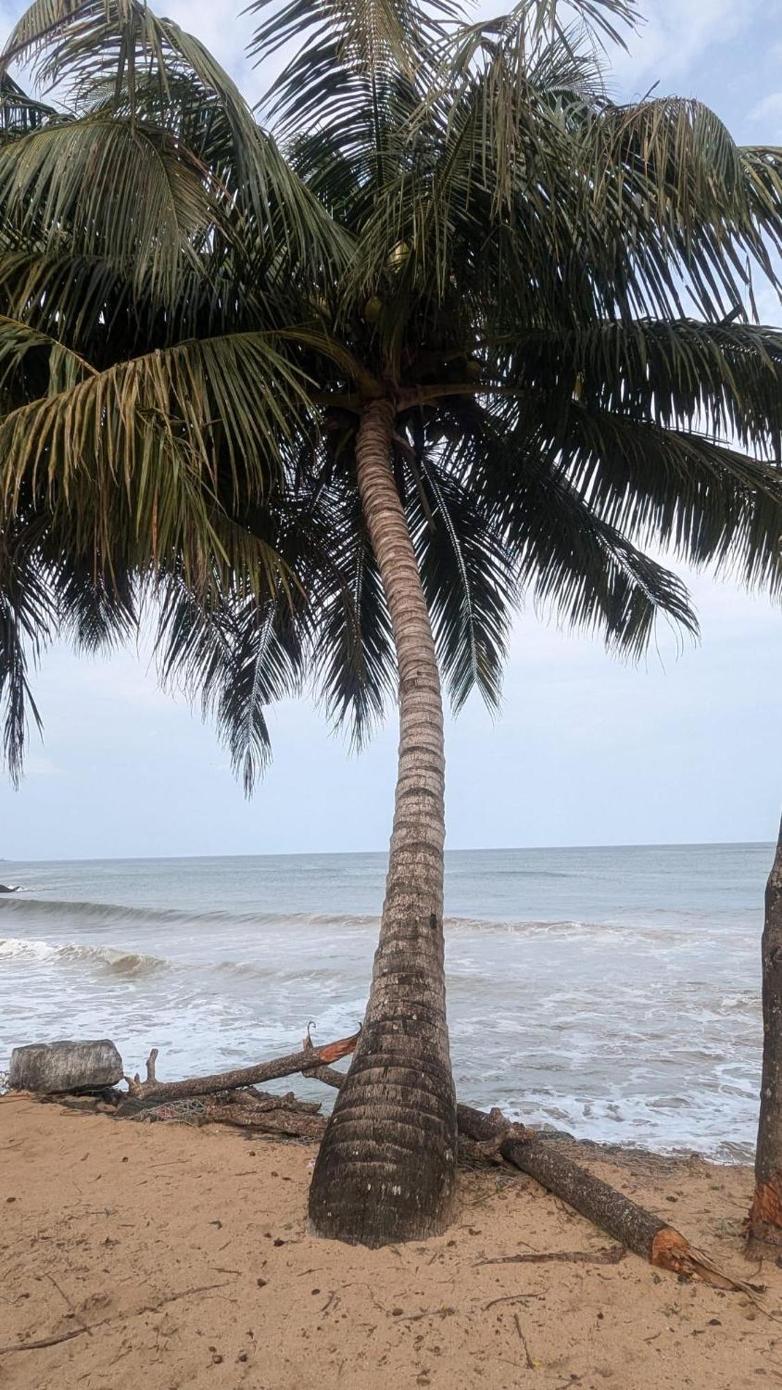 Chandi Gaya Beach Guesthouse Tangalle Luaran gambar